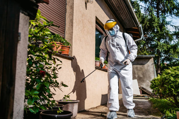 Best Exterminator Services  in Berea, KY