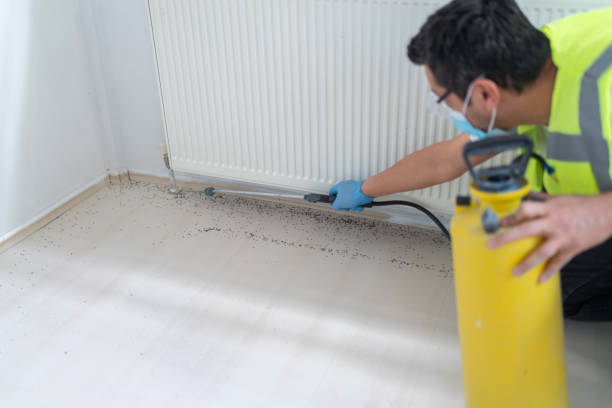 Best Affordable Pest Control Services  in Berea, KY