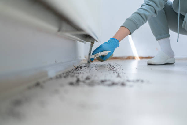 Pest Prevention Services in Berea, KY